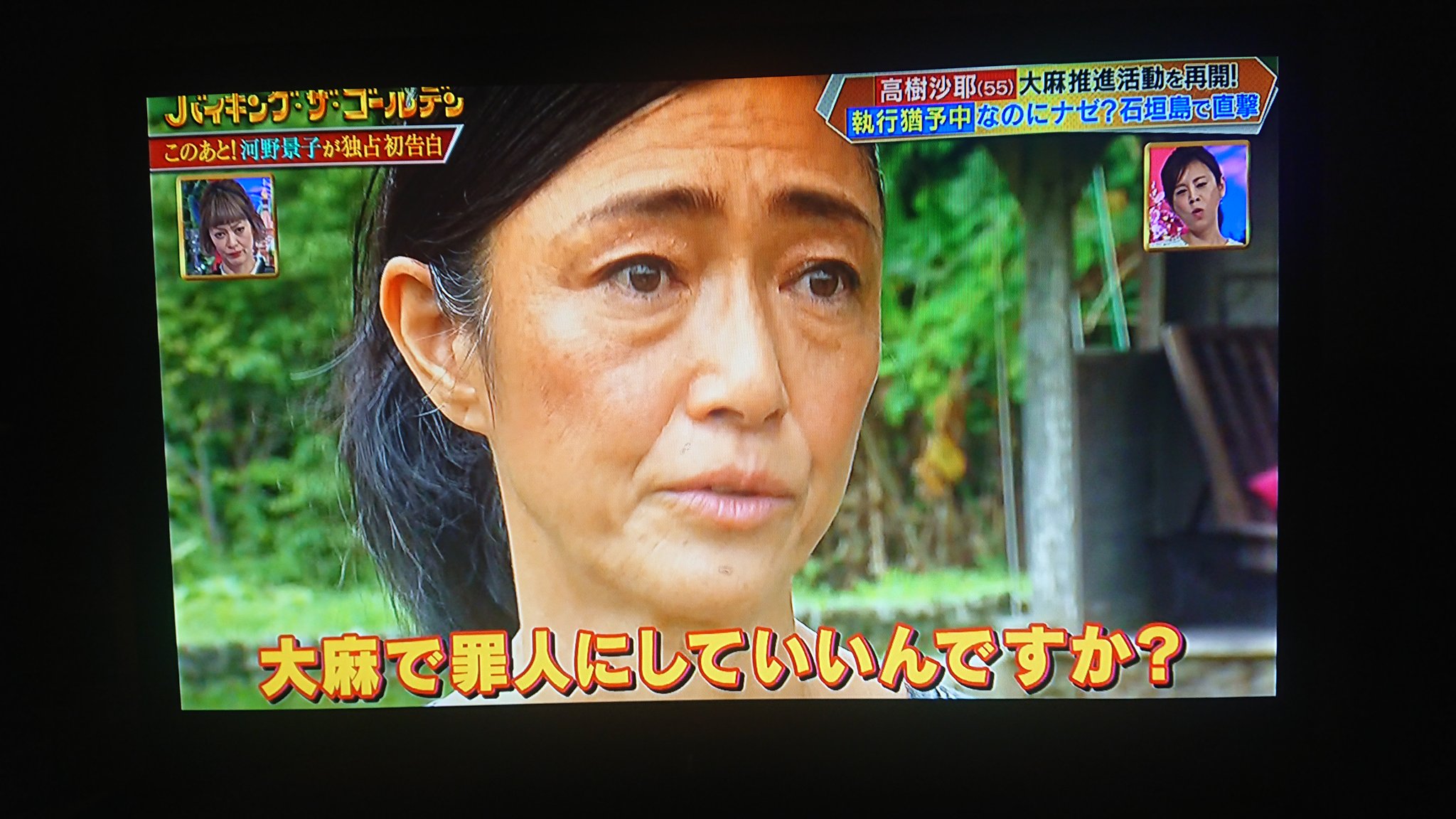 高樹沙耶が大麻合法化を再び熱弁 高樹沙耶が大麻合法化を再び熱弁