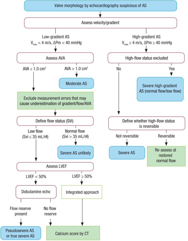 PeroneFrancesco's tweet image. #cardiotwitter #cardiologist