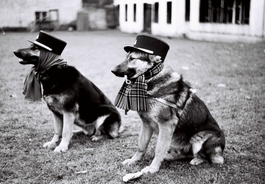 Dvg-L5tWsAE6PXt?format=jpg&name=900x900