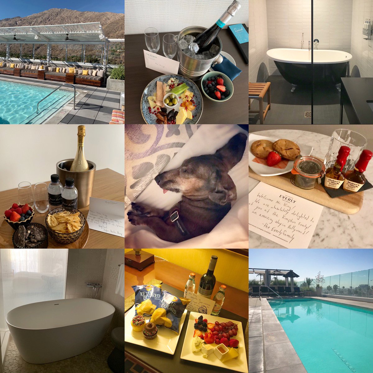 SpentJC's tweet photo. Another great year of relaxing in dog-friendly beds, rooftop pools, and deep soaking tubs while snacking on cupcakes and bubbly thanks to @Kimpton #kimptoninnercircle. The new hotels in Palm Springs and L.A. are gorgeous. Here's to even better things in 2019! https://t.co/9PSWoPOABD