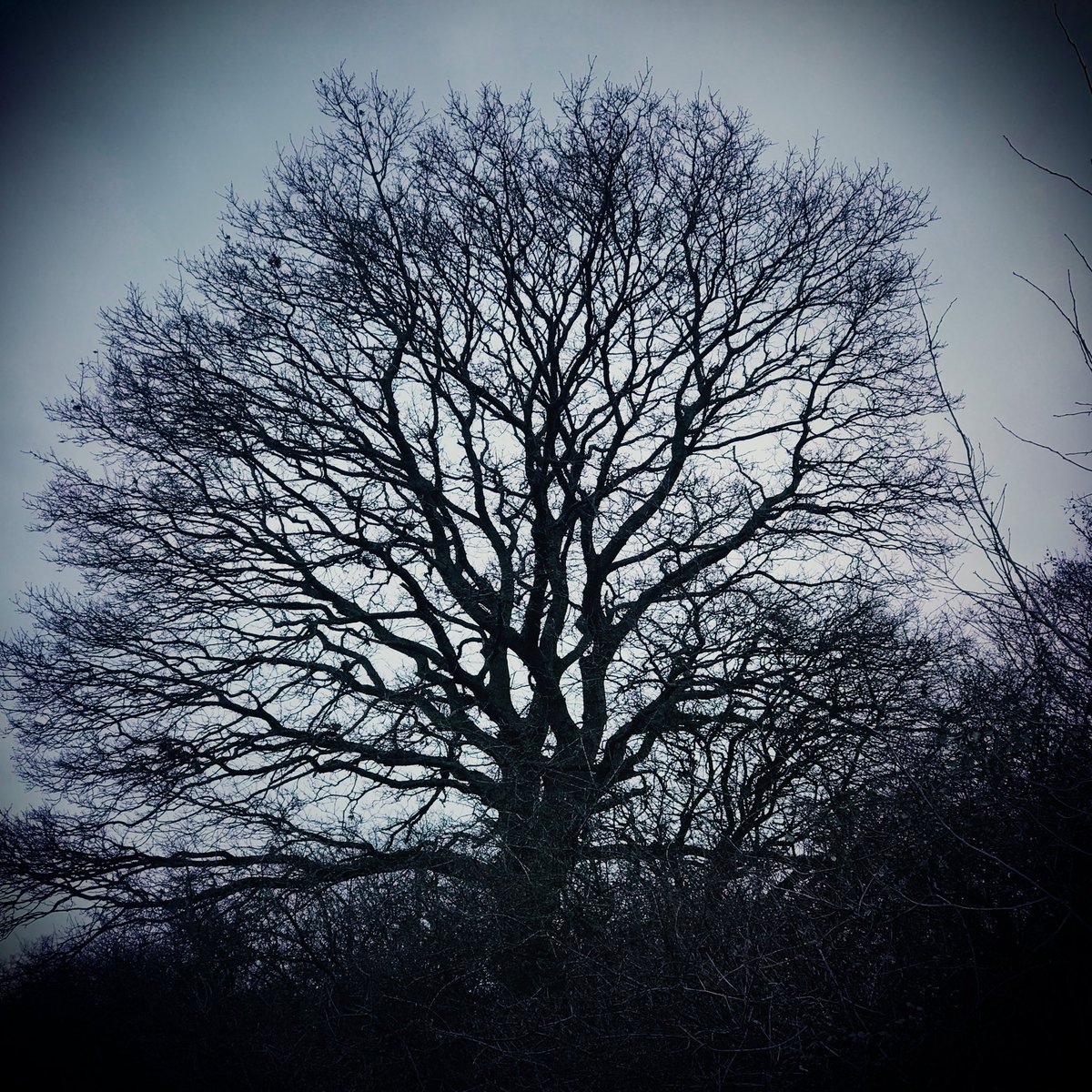 dark ... 🖤🖤🖤
#myartwork