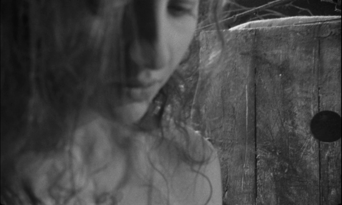 bopsfjk's tweet photo. #BertrandMandico #WalerianBorowczyk #BorointheBox https://t.co/rwTP3KbxkZ