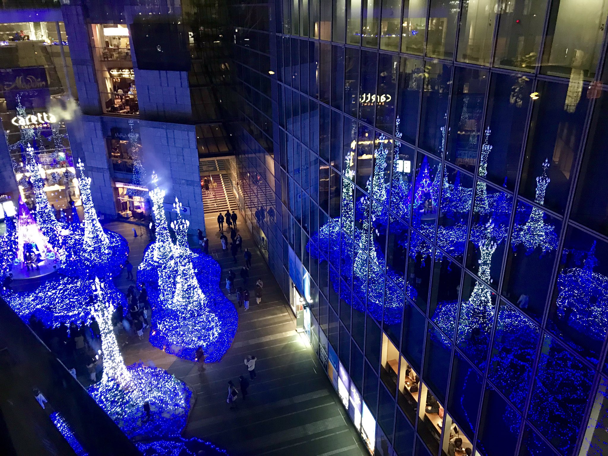 Carettaillumination Twitter Search Twitter