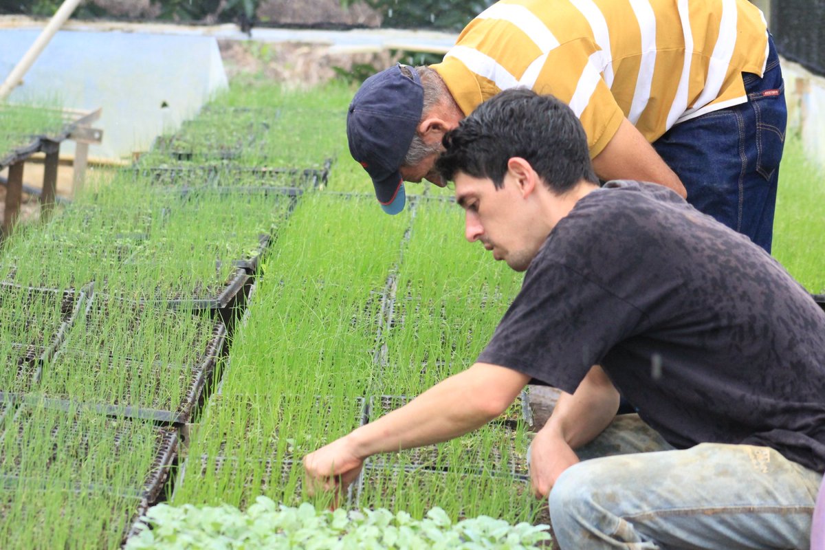mirandoafuturo's tweet photo. En 2018 nació la empresa AgroMiranda con el objetivo de abastecer de insumos y maquinarias al sector agropecuario, y así tributar al incremento de la producción. #MirandoAlFuturo https://t.co/vGzxtacUjz