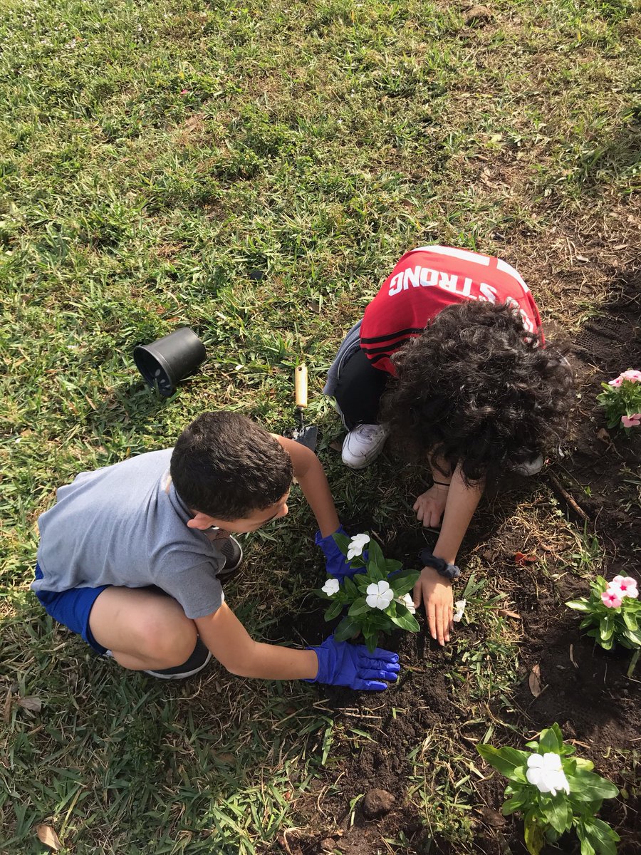 17roseV's tweet photo. #ProjectGrowLove this morning 💕🌷 https://t.co/yOSzw2Z93v