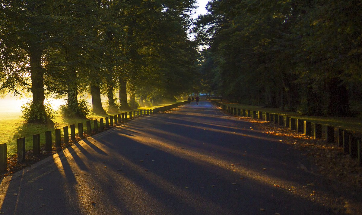 JohnnyPastramiA's tweet photo. P a r k l i f e
©Steve Garrington
#PontcannaFields #wales
#sunrise #dawn #cardiff
#park #pontcanna #UK
#Llandaff #trees #mist
#LlandaffFields #morning
#shadow #light #sun
#grass #outdoor #road
#SteveGarrington
Pontcanna, Cardiff, Wales https://t.co/hsfnYwPZo5