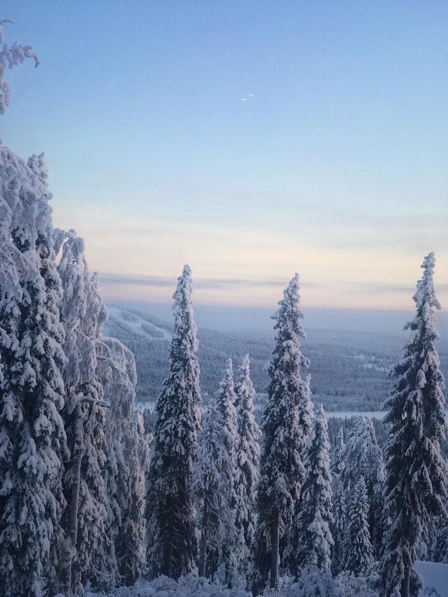 There is some sun in the forecast for the weekend☀️ #winterwonderland