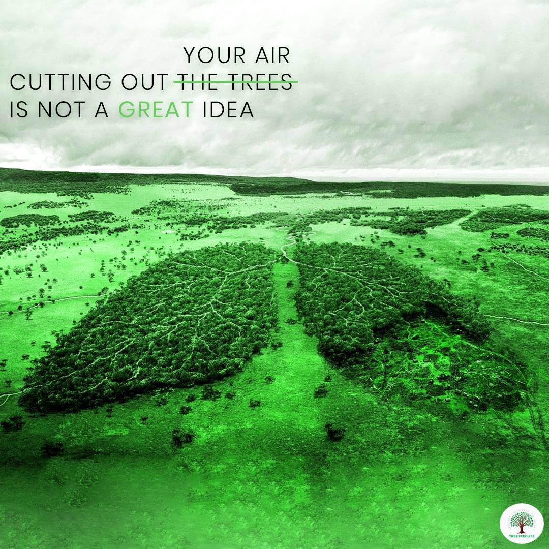 Join the Tree for Life community and join the moment against #environmental harm.

#savetree #tfl #motherearth #nature #saveearth