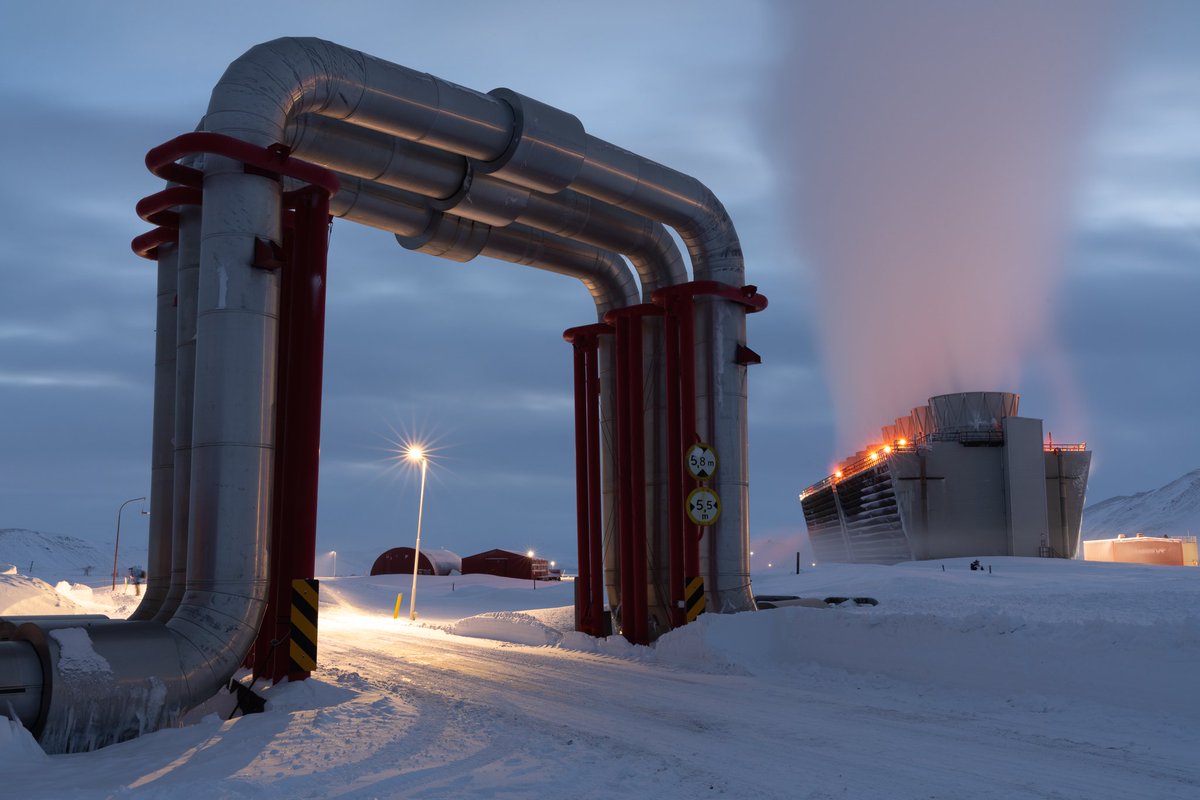 Stephen McGill (@stephenmcgill) on Twitter photo 