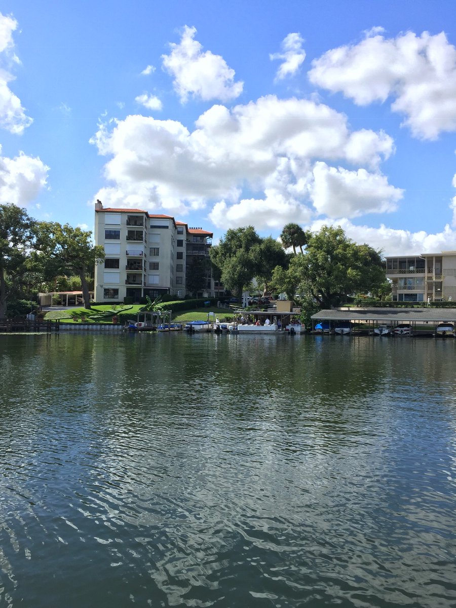 David Wittman tweet media