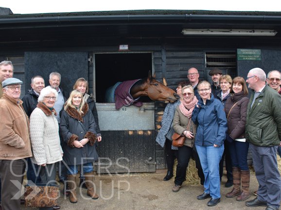deeg159's tweet photo. Exciting to have a G1 runner tomorrow @PFNicholls @CobdenHarry @SimonDGould @agbs3 #challowhurdle #trumpy #bringithome https://t.co/NxvaP5uIZo