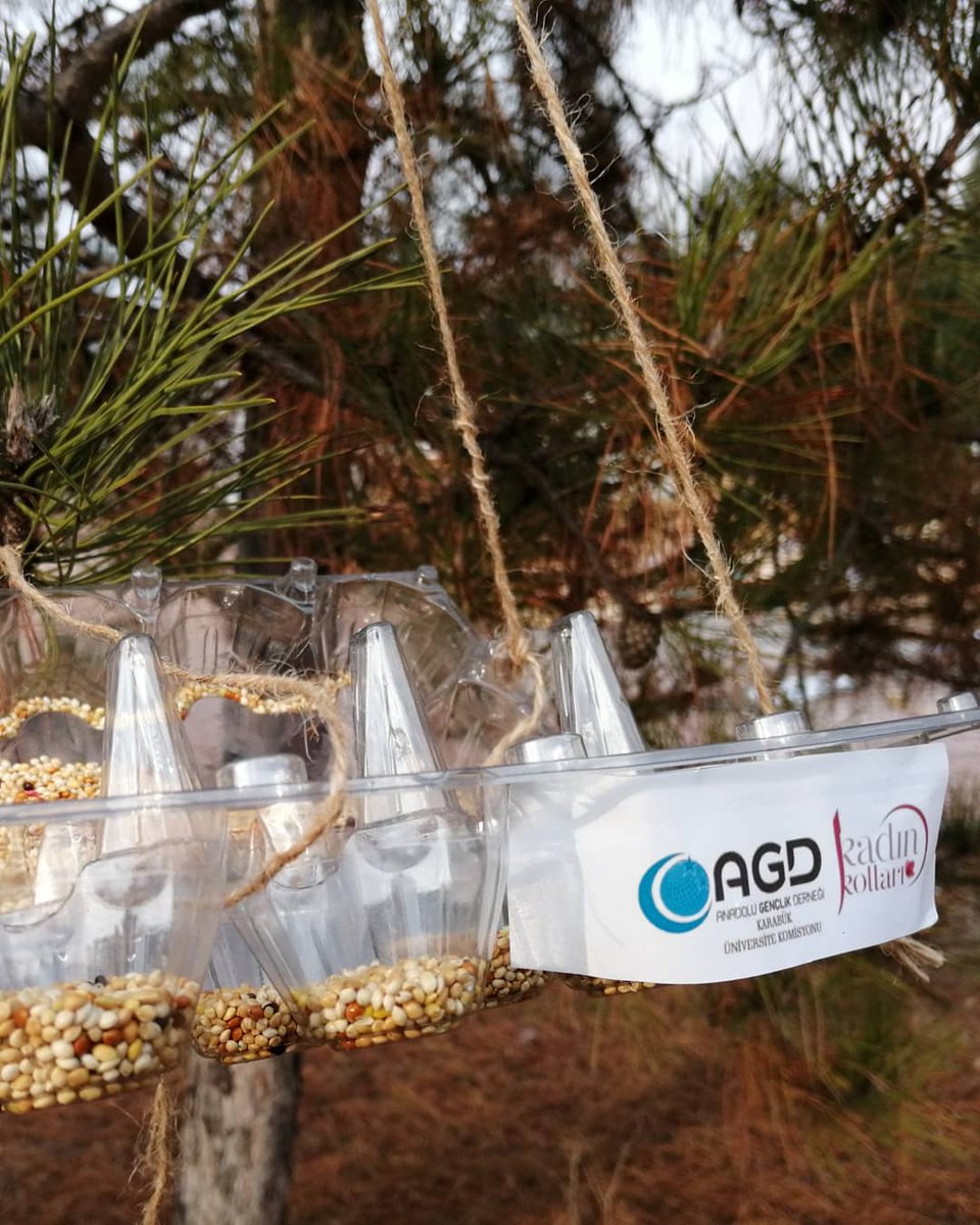 📍81 İlde AGD Kadın ÜniKom olarak başlattığımız etkinliğimizi Karabük Üniversitesinde de gerçekleştirdik.📍 AGD Karabük Kadın Üniversite Komisyonu olarak üniversitemizde bulunan dostlarımıza ikramlarda bulunduk.

#HayvanDostuKampüsce