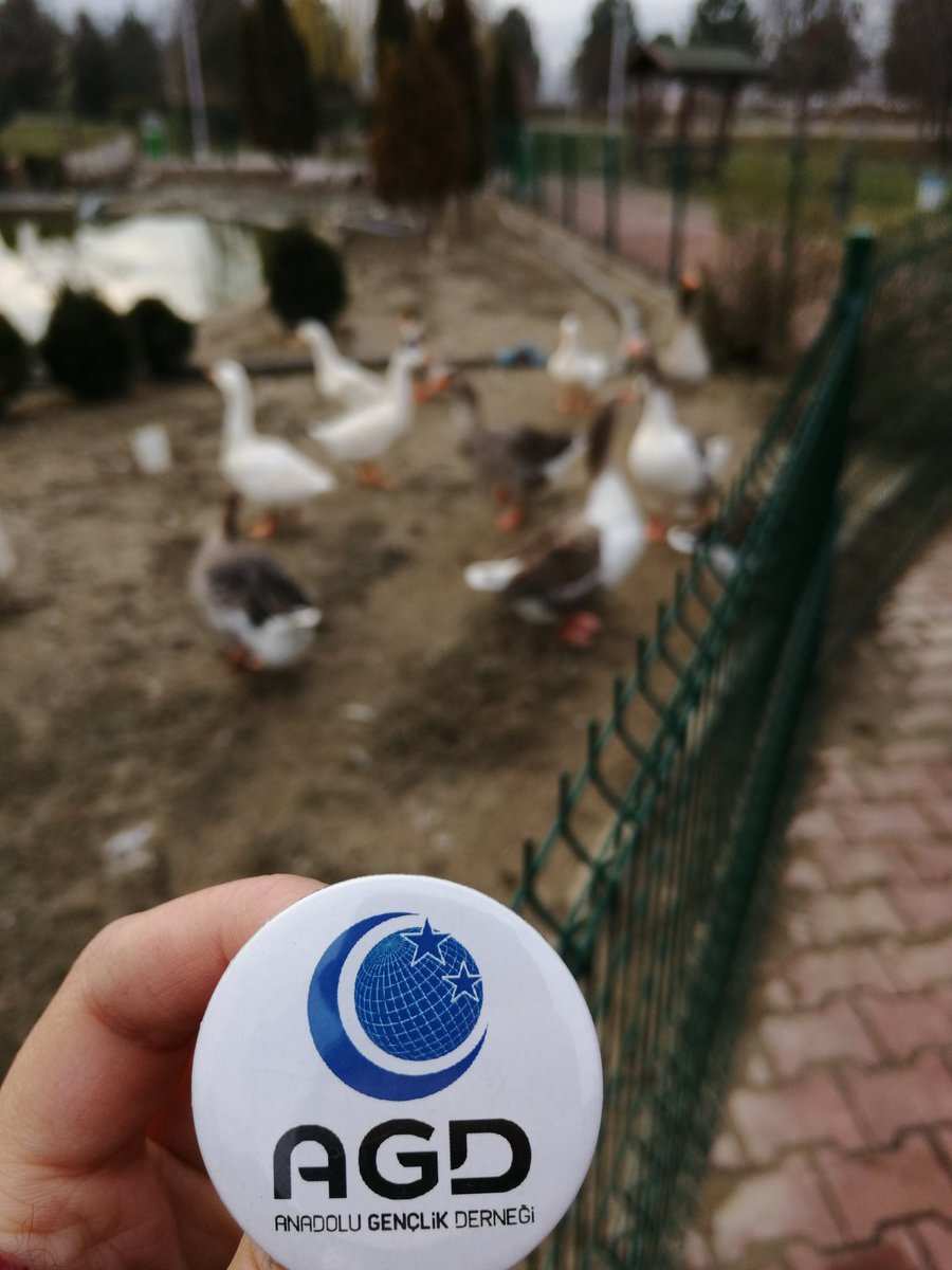 #HayvanDostuKampüsçe