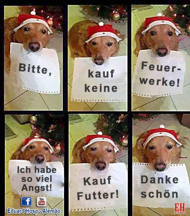 Leono_Liber's tweet photo. #Silvester #sicheresSilvester #silvester2018 #Feuerwerk #Böllerei #Böller #Silvesterfeuerwerk #Schwachsinn #Geldverschwendung #Dreck #Gift #Umweltschutz #Feuerwehr #Verletzungen #Krankenhaus #Vorbild #Silvesternacht #Idioten https://t.co/ToyVOyoRuB