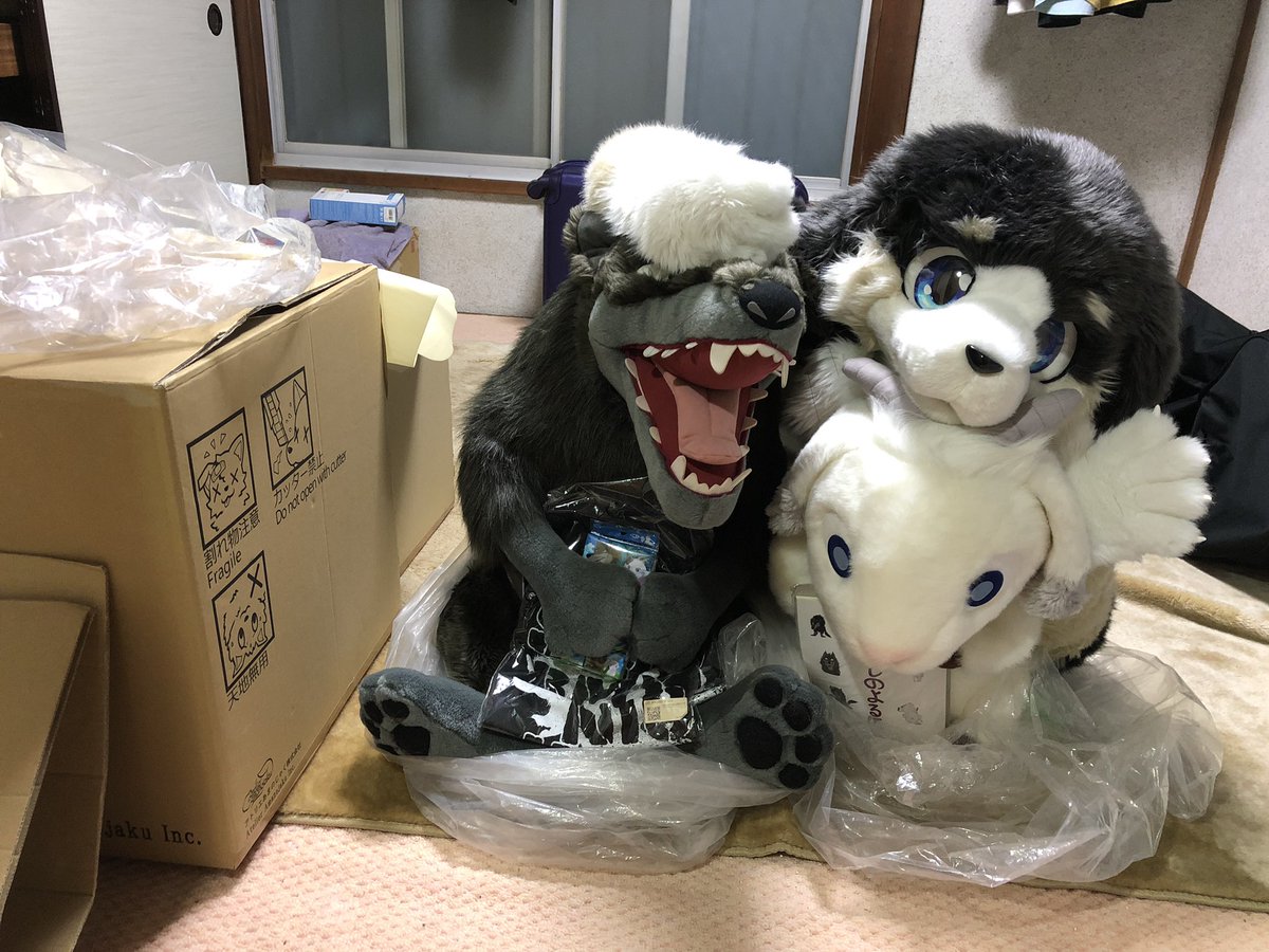 クルタ タレミミアワーズ公式 Fursuitfriday あらしのよるに 今日は 僕の家にいる あらしのよるに のガブと メイ 2人と一緒に撮影したよ 2人とも大きいから 実物みたいでしょ