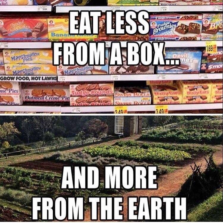 Team_Sascha's tweet photo. Food for thought going into 2019 ππ₯¦ Whats your diet like?? #Diet #Fitness #LoseFat #Exercise #Gym #Health #Food #LessProcessed #MoreOrganic #Training #FitLife #Workout #NewYears #Resolutions #WeightLoss #FeelGreat #NeedHelp #PersonalTraining #Poole #Bournemouth #Team_Sascha https://t.co/jvgEtS7M4Y
