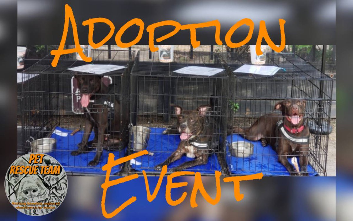 Join us tomorrow  at Buffalo Bayou Brewing Co and meet some of our adoptable pups.  5301 Nolda St. 77007....  12/29/18  Noon - 3pm