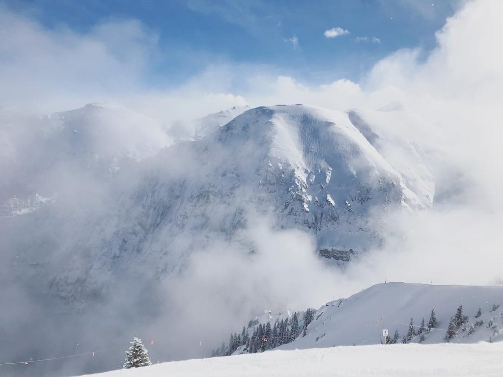 Telluride_tv's tweet photo. Winter views aren't too shabby, eh?

#Telluride #TellurideTV #TTV #AlmostLive

📷: @kirstsherwood https://t.co/7HcIaKuV1K