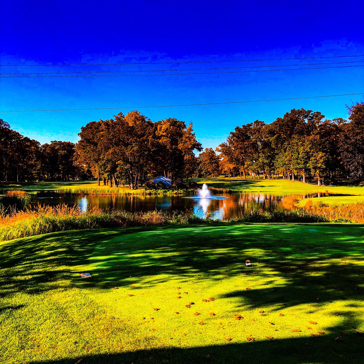forceplateguy's tweet photo. Who wants to join me for some December golf @WashtenawGC golf club this afternoon. Looking for some people who would like some help kick starting their 2019 season. #outworkthecompetition #nooffseason #goals #thewanderinglearner https://t.co/Lx8MMFzCch https://t.co/SvMlJlcqJ0