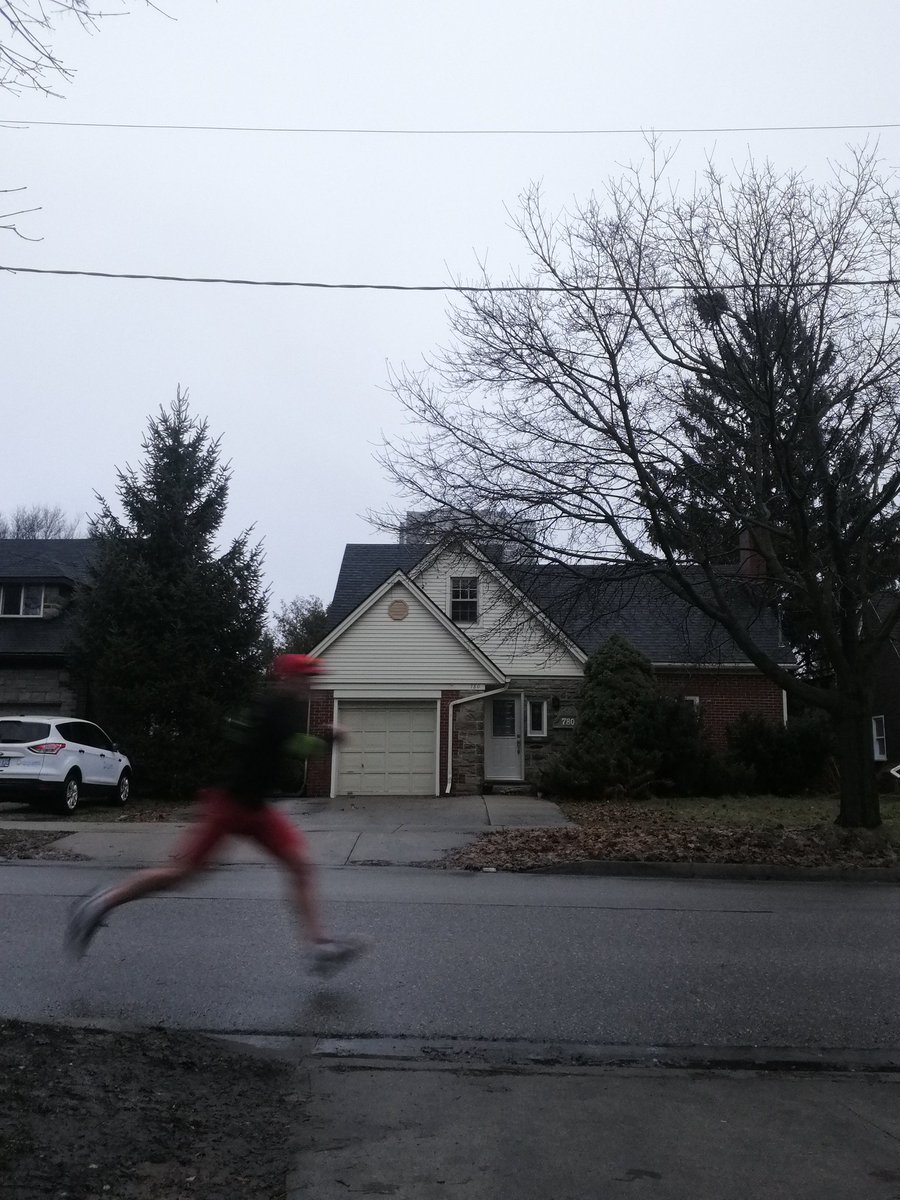 dieselRuns's tweet photo. I got up. I got it done. It felt great. Morning strength training with @BBE_Clint at @EliteTF then felt pretty darn good when I got home so I threw a quick neighbourhood tour in there since I was already spandexed up. #runkw #runnerBliss #runStrong #goRarebits https://t.co/fN2UlqC2rE