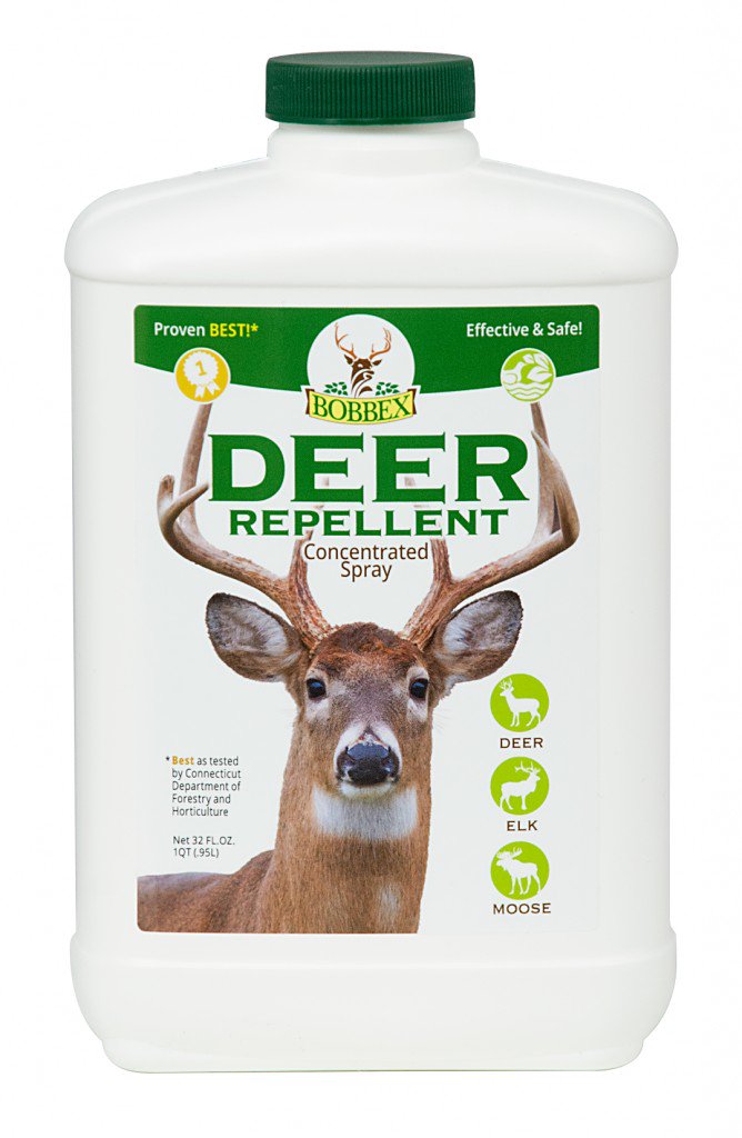 Pegplant's tweet photo. Got deer? Subscribe to Pegplant’s Post free monthly #gardening newsletter, targeted to the Washington #DC metro area. Giveaway for January's issue is #Bobbex #deer #repellent concentrate and spray bottle. @BobbexProducts #NoVA #MD #allaboutplants https://t.co/DK3cN47Ztw… https://t.co/us65NWBsNC