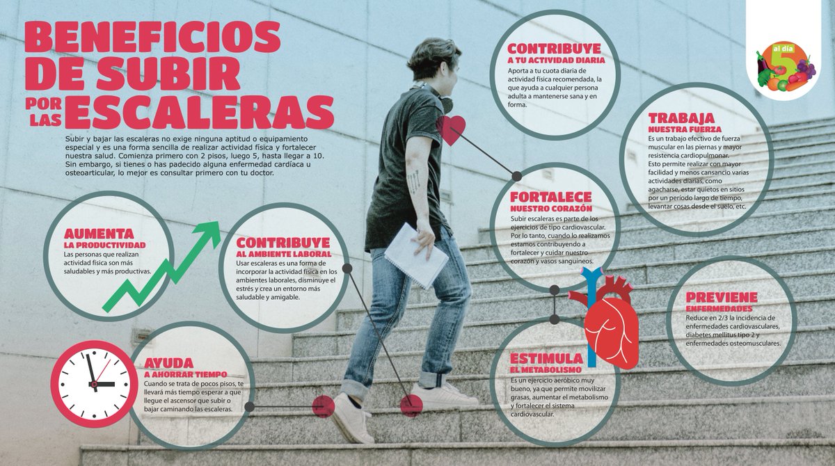 Melodrama para mi áspero beneficios de subir y bajar escaleras vertical ...