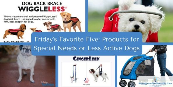 dogtrainer4ever's tweet photo. Friday's Favorite Five: Products for #SpecialNeedsDogs or #SeniorDogs #sponsored ---> https://t.co/hZ9bHApDBk <--- #activedogs #travelingwithdogs #organicdogs #doghealth #naturaldogcare #dogproducts  @dogtrainer4ever @PetGearInc @DrBuzby @GingerLeadDog @WiggleLess @muffinshalo https://t.co/LebPU4yo5g