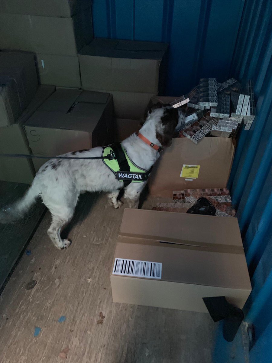 WagtailUK_dogs's tweet photo. Thousands of #illegalcigarettes have been found by our #snifferdogs today. Working with government agencies. More news soon. #24/7 #illegaltobacco #detectiondogs #wedonotclose #usethebest https://t.co/AYqnfxlbDE