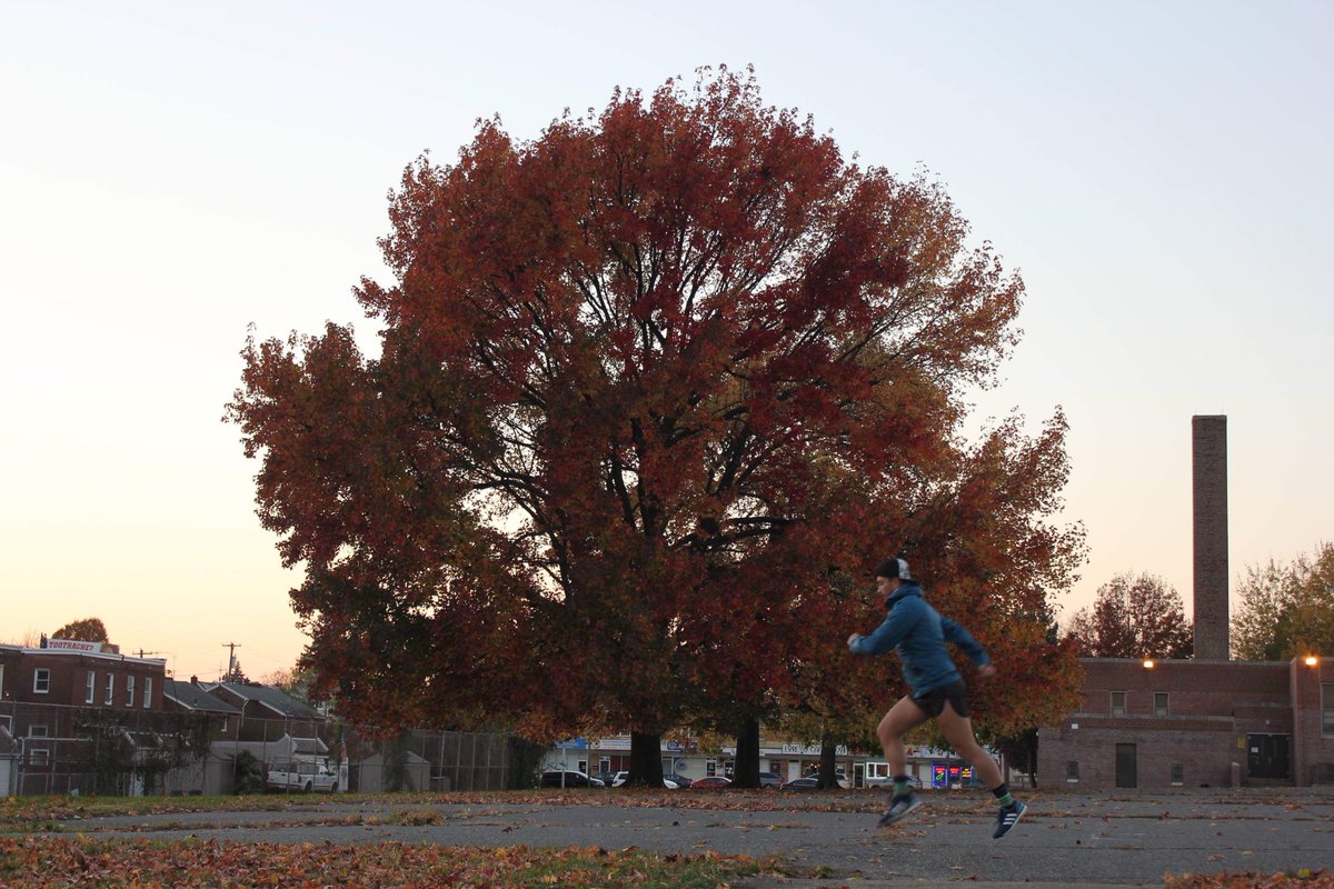 liviu_e_andrei's tweet photo. Be you
Do you
Love you
Define you!!!
#running #marathon #outside #Philly #philadephia #usa #run #man #strong #worldrun #photography #photographer #colors #phillyrun #PhillyMarathon #america #training #trailrunning #ambasadorsearch #sponsor #strava #healthy https://t.co/4s4klE9fUu