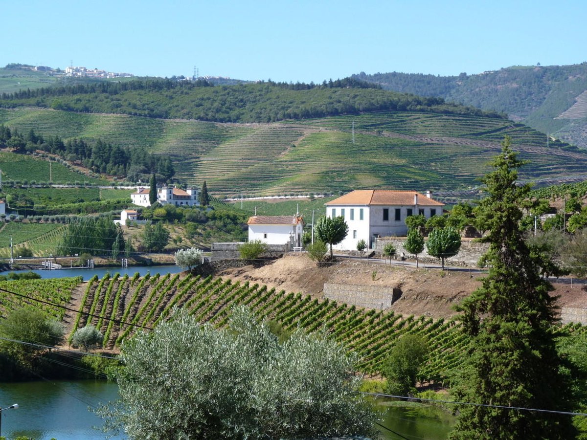 InterRent_PT tweet media