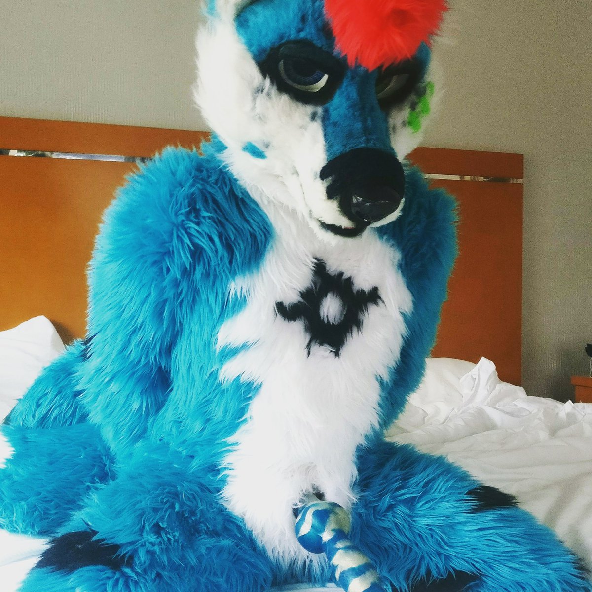 ShazyAD's tweet image. #FursuitFriday