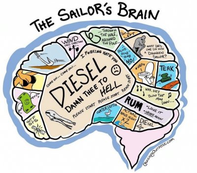 A sailor's brain - although probably a bit glazed over by Christmas right now!