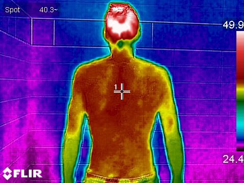 saunacloud's tweet photo. Before and after picture of a @saunacloud user’s skin temperature. #infraredsauna #sauna #saunacloud https://t.co/NGfdPr9v97