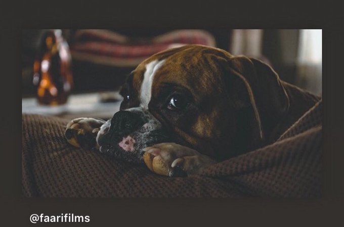 Kug’s pics and videos