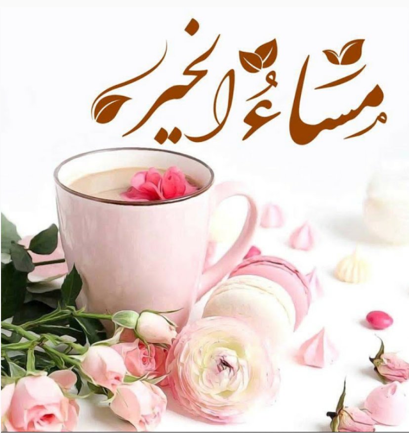<a href="/wisamm4321/">Wissam Al-Zubaidi</a> <a href="/Hsnklil/">H. Hassan Khalil</a> <a href="/BARBIE56245268/">🌸BARBIE🌸</a> <a href="/ranasalmen1990/">RoRo</a> <a href="/AlriqeSoso/">رؤى الغزي</a> <a href="/aoswUz/">العراب</a> <a href="/dalal_maksoud/">دلال الروح🇱🇧</a> مساء الخير 
جمعة طيبة
