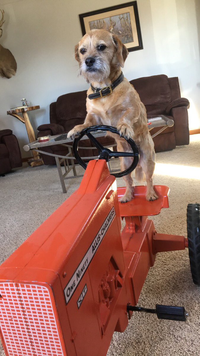 NicholeMLicht tweet media