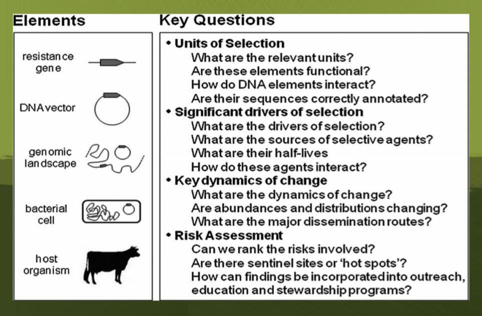 MICROB-R tweet media