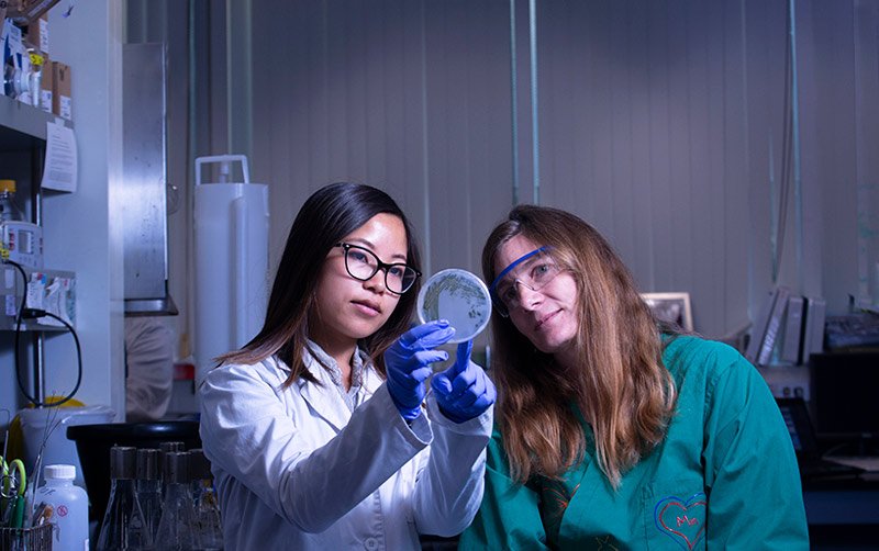 Dr. Johnson and her students highlighted in the CSUF news! news.fullerton.edu/2018fa/cyanoba…