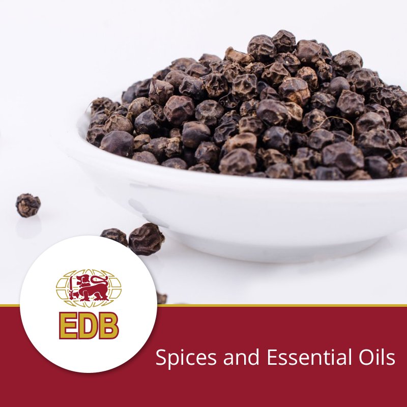 EDB_SriLanka's tweet photo. Organic black-pepper from Sri Lanka is a widely known for its hot flavor adding to the taste of many a dish.
Find out more: https://t.co/Q7cy6oLmhh
Shop now: https://t.co/FsUmzFzU56 https://t.co/pKRgmId5Ua