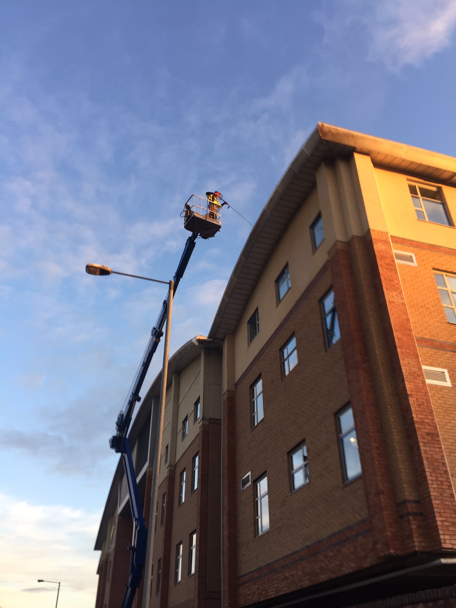 Fletcher Access on Twitter "soffitcleaning and fitting of birdspikes