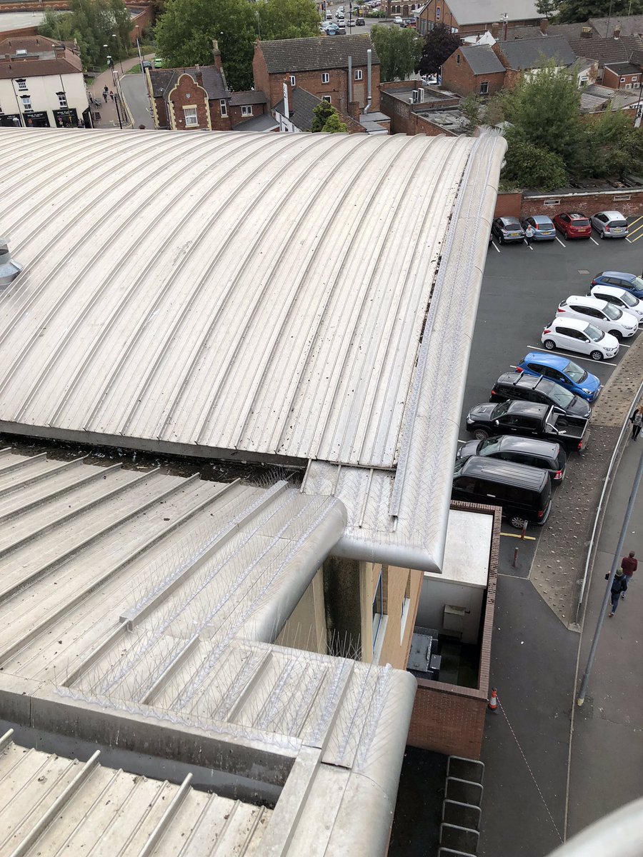 Fletcher Access on Twitter "soffitcleaning and fitting of birdspikes