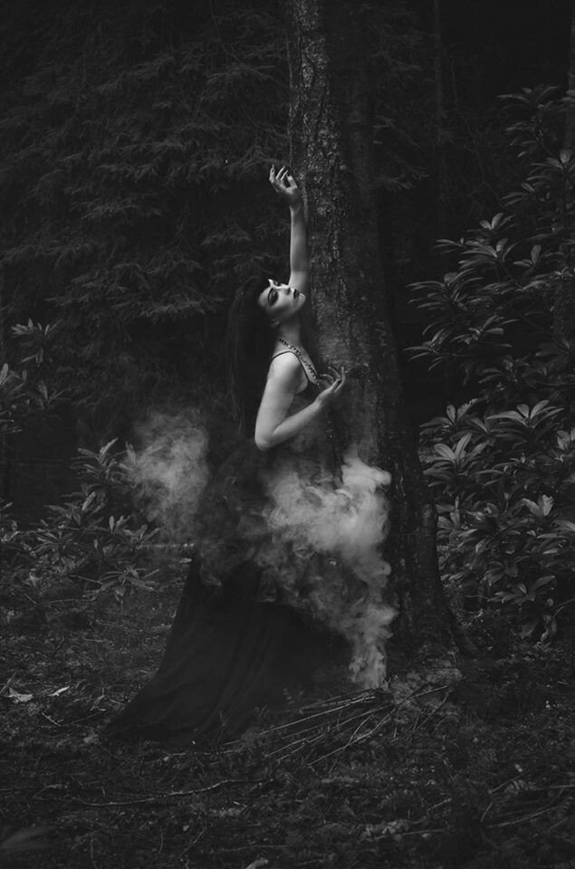 #SweetDarkness 🖤🕸