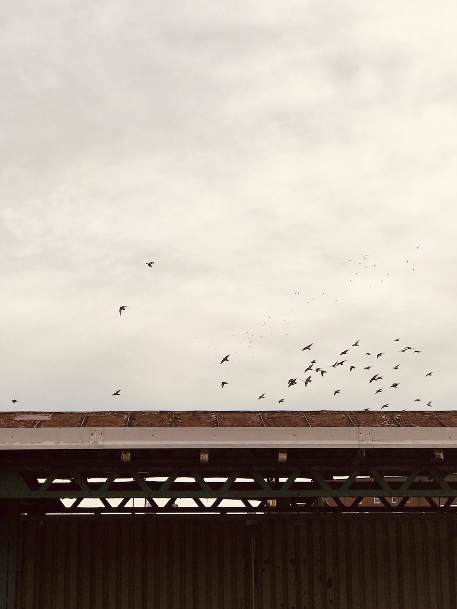 brettworks's tweet image. Resonant Thought: “The whole idea is to capture your ideas and creativity before you actually start thinking about it. - Jimmy Bralower #musicproduction #drumprogramming