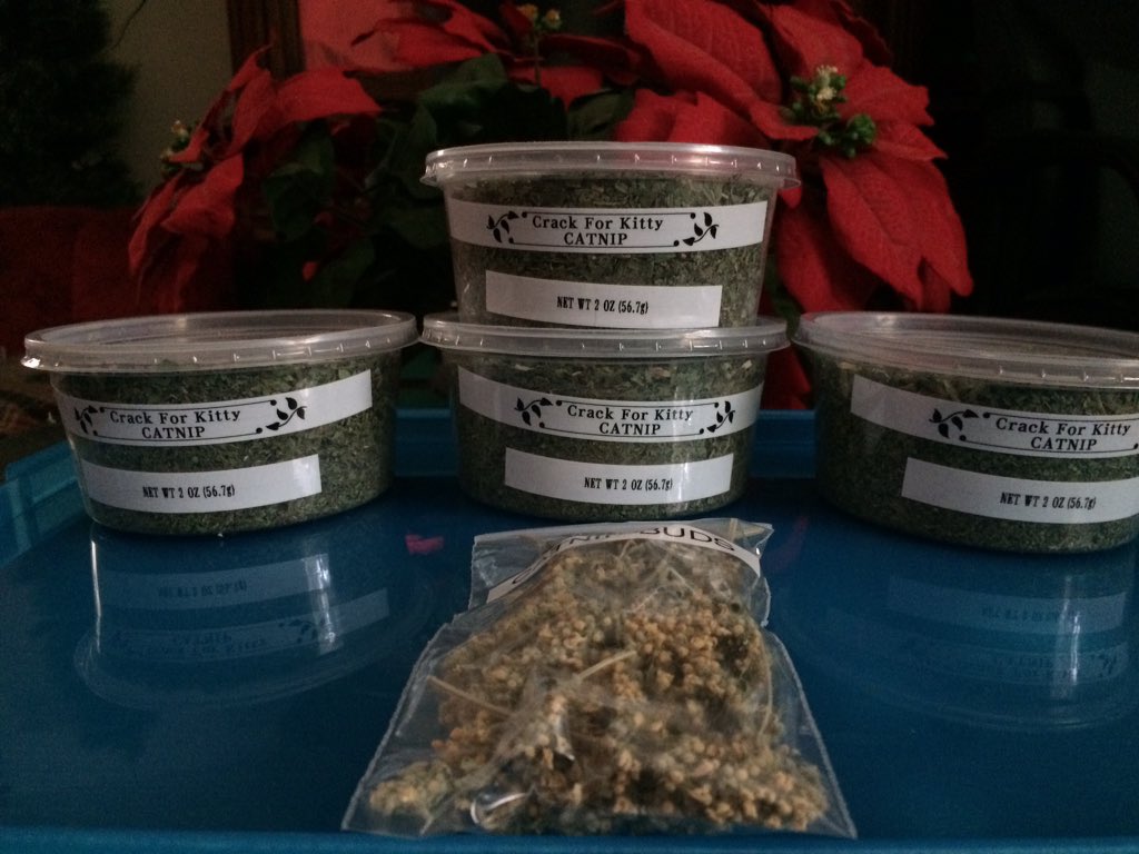 CrackForKitty's tweet image. More happy #CrackForKitty #Catnip customers.
#organiccatnip #nongmocatnip