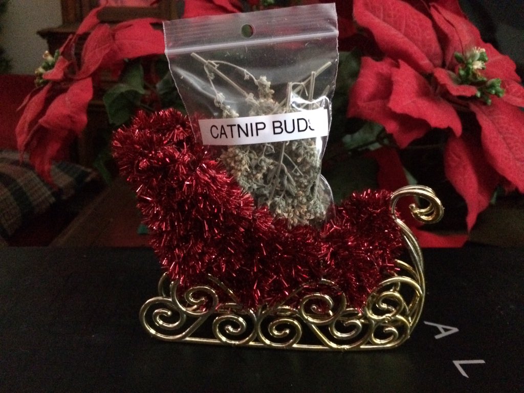 CrackForKitty's tweet image. More happy #CrackForKitty #Catnip customers.
#organiccatnip #nongmocatnip
