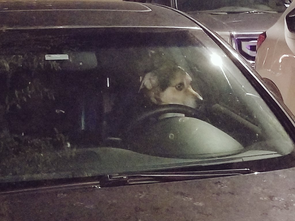 HarvMilkboneATX's tweet photo. omg wat da heck!

traffik is terrible rite nao https://t.co/r4sRDkblpu