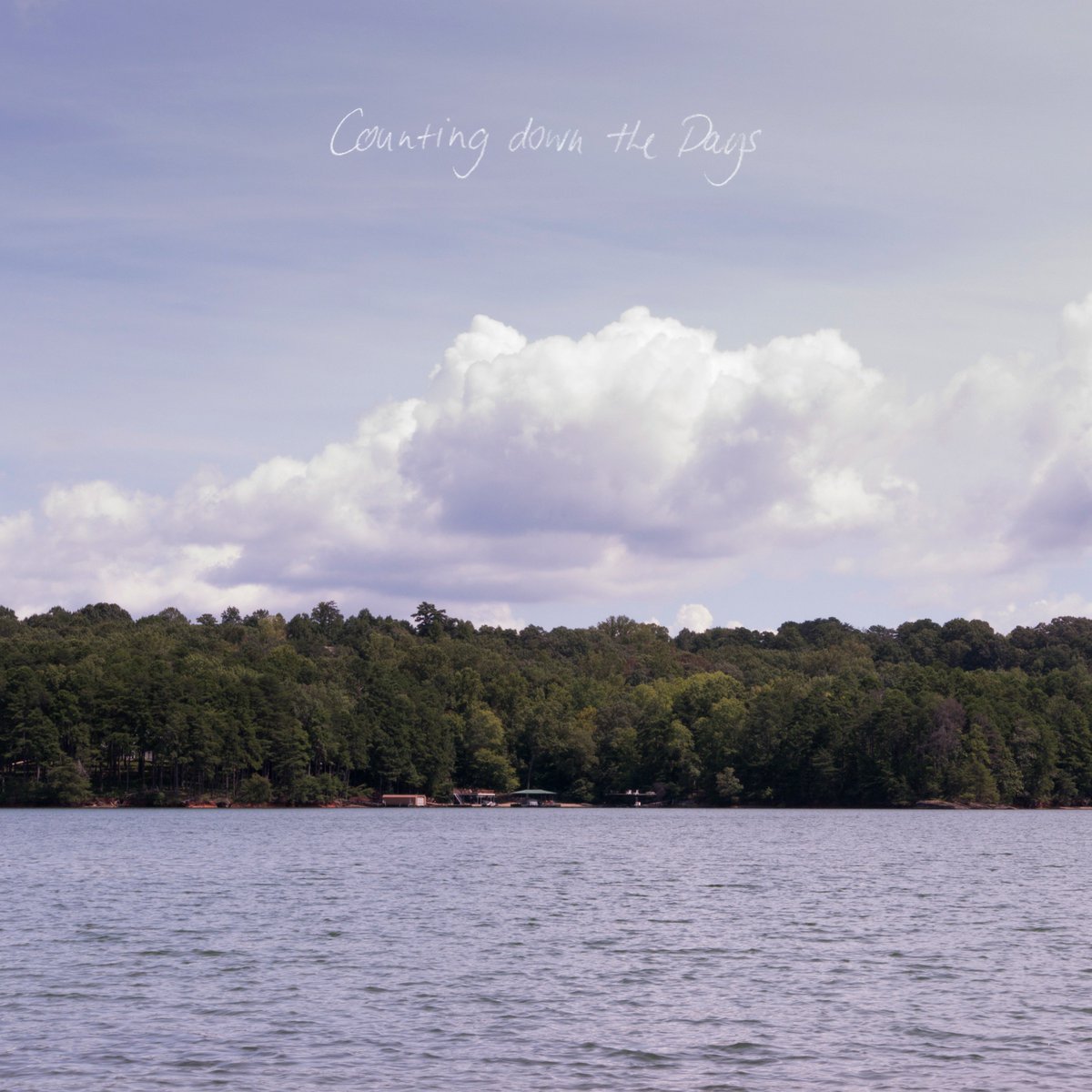 Aljosha Konstanty tweet media