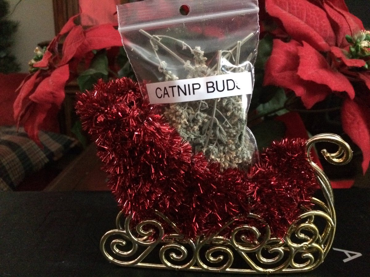 CrackForKitty's tweet image. Merry Christmas and Happy New Year from Crack For Kitty!
#crackforkitty #catnip #organiccatnip #nongmocatnip