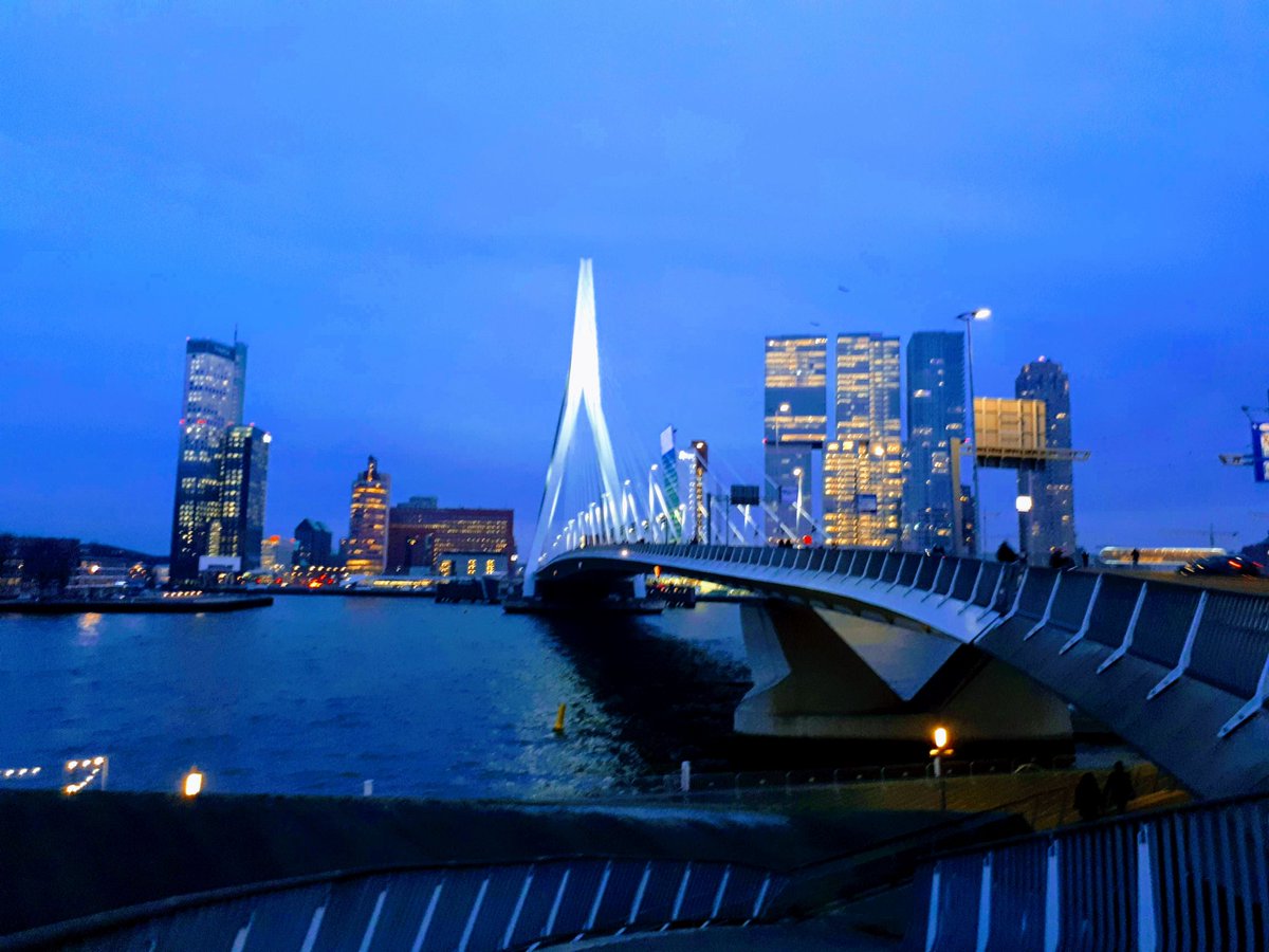 Armando Dörsek tweet media