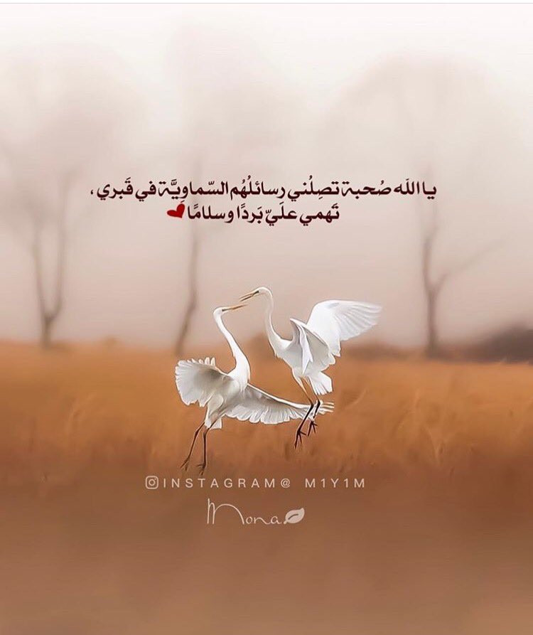 #صحبه ' 🍂
